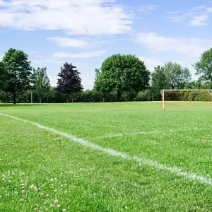 sunny-campo-de-futebol